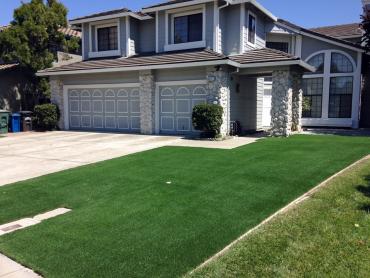 Artificial Grass Photos: Artificial Pet Turf North Tustin California Lawns